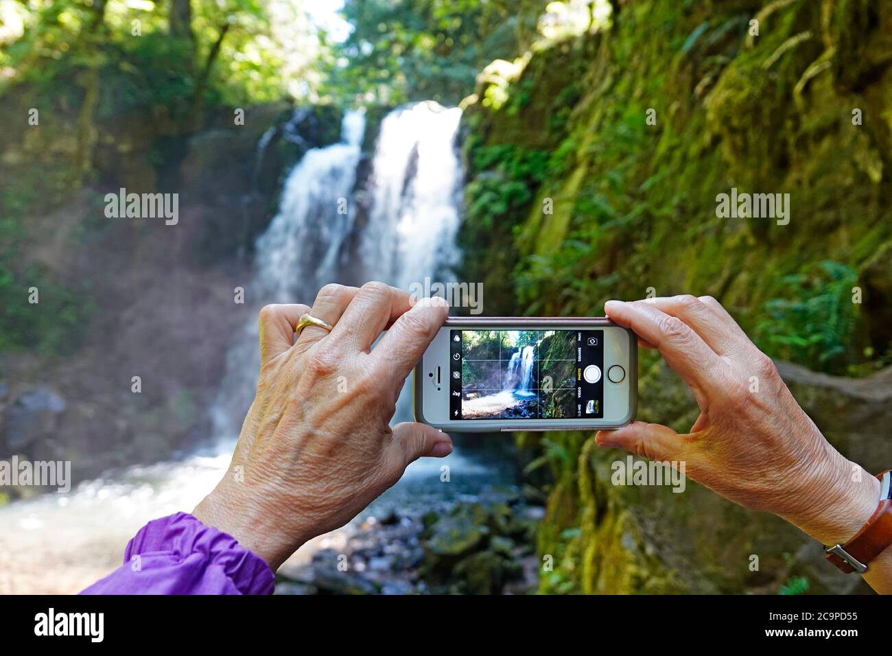Une femme prend une photo d'une cascade avec son iPhone dans les montagnes Cascade du centre de l'Oregon. Banque D'Images