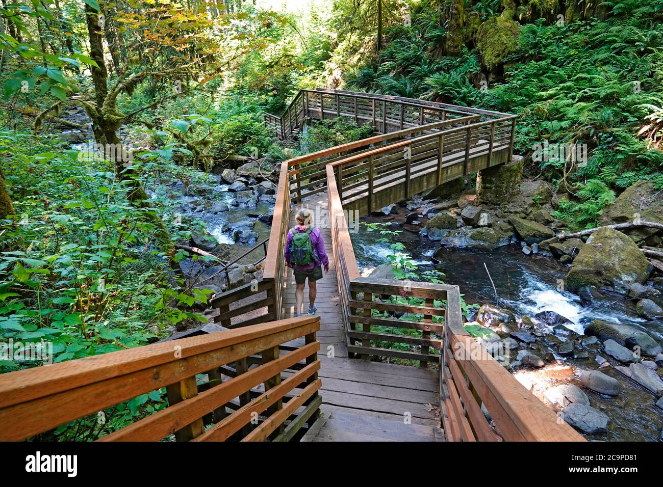 Un randonneur marche le long du ruisseau McDowell dans le parc du comté de McDowell Creek à Sweet Home, Oregon, sur la pente ouest des montagnes Cascade et sur le bord Banque D'Images