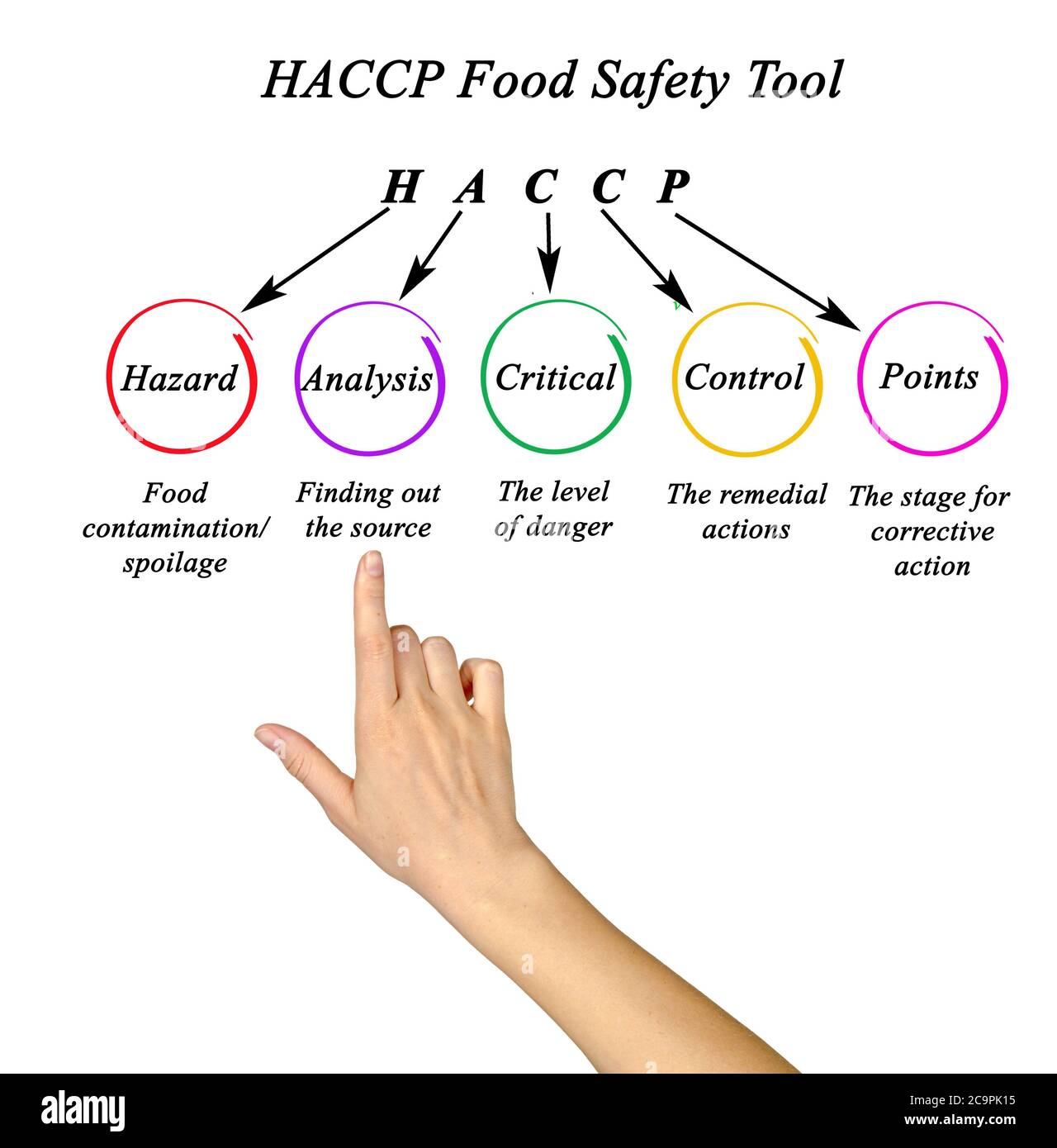 Composants de l'outil HACCP de sécurité alimentaire Photo Stock - Alamy