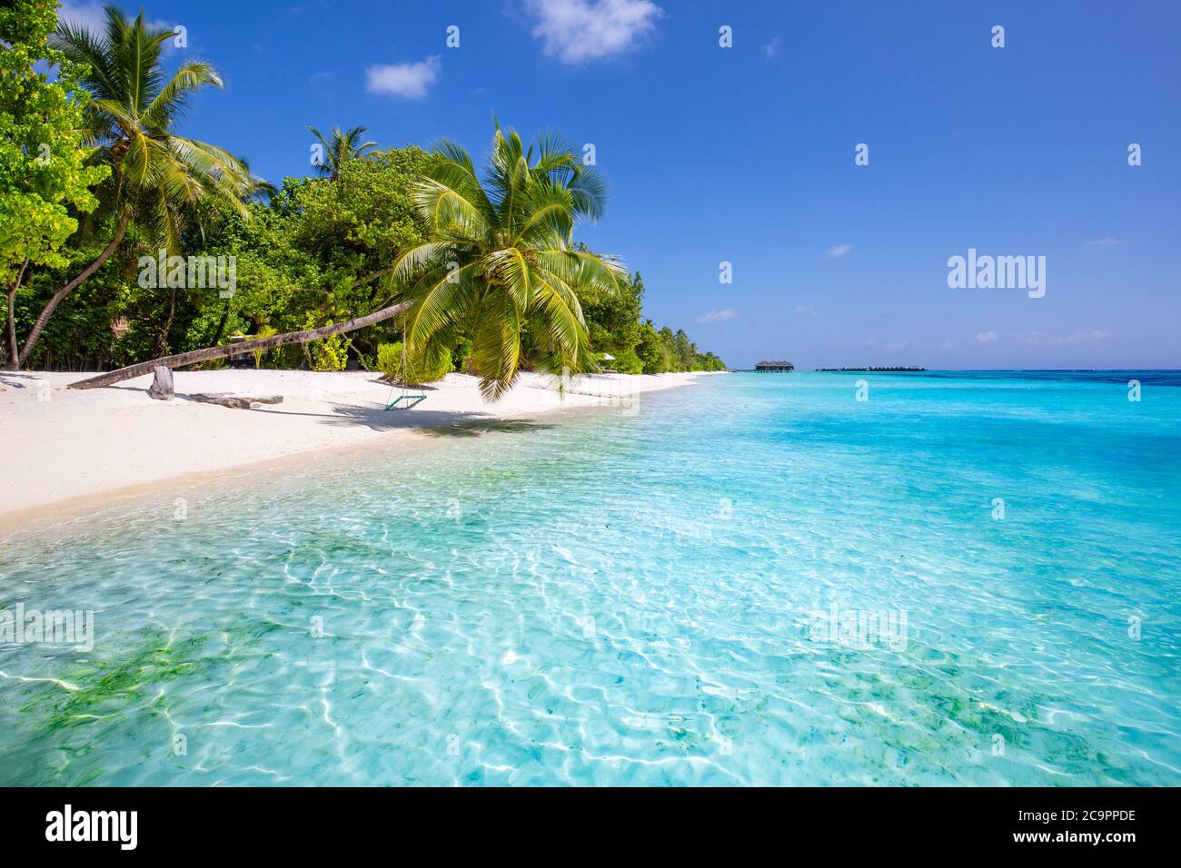 Fond tropical de plage comme paysage d'été avec balançoire de plage ou hamac et sable blanc et mer calme pour la bannière de plage. Des vacances parfaites sur la plage Banque D'Images