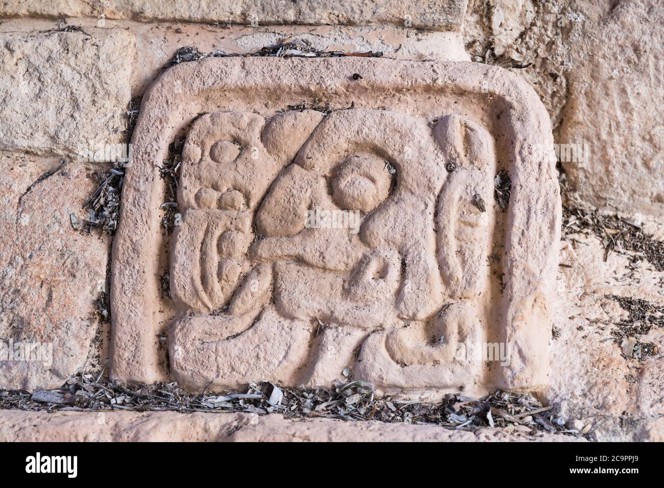 Stuc décoratif sculptant un glyphe dans l'Acropole dans les ruines préhispanique de la ville maya d'Ek Balam à Yucatan, Mexique. Banque D'Images