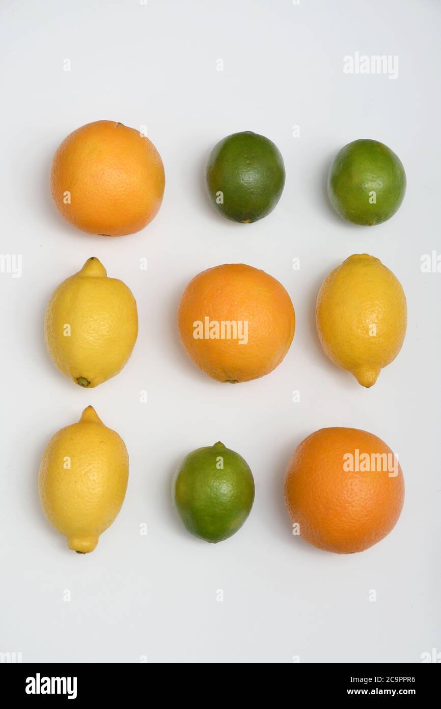 FÊTE DES AGRUMES : une collection d'oranges, de limes et de citrons est disposée dans une couche plate sur un fond blanc pur. Banque D'Images