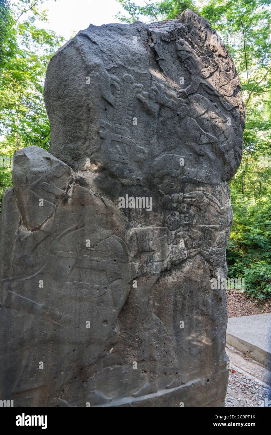 L'homme barbu, Stela 3, des ruines d'Olmec de la Venta. Période préclassique (700-400 av. J.-C.). Musée la Venta, Villahermosa, Mexique. Banque D'Images