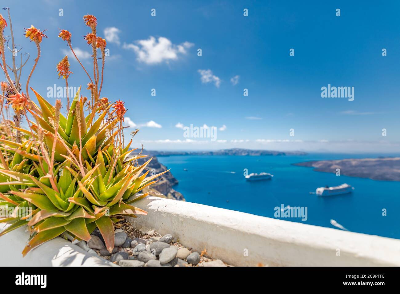 Vue paisible à Santorin, Grèce avec architecture blanche et fleurs roses, bateaux de croisière, ambiance méditerranéenne d'été, vacances et arrière-plan de voyage. Banque D'Images