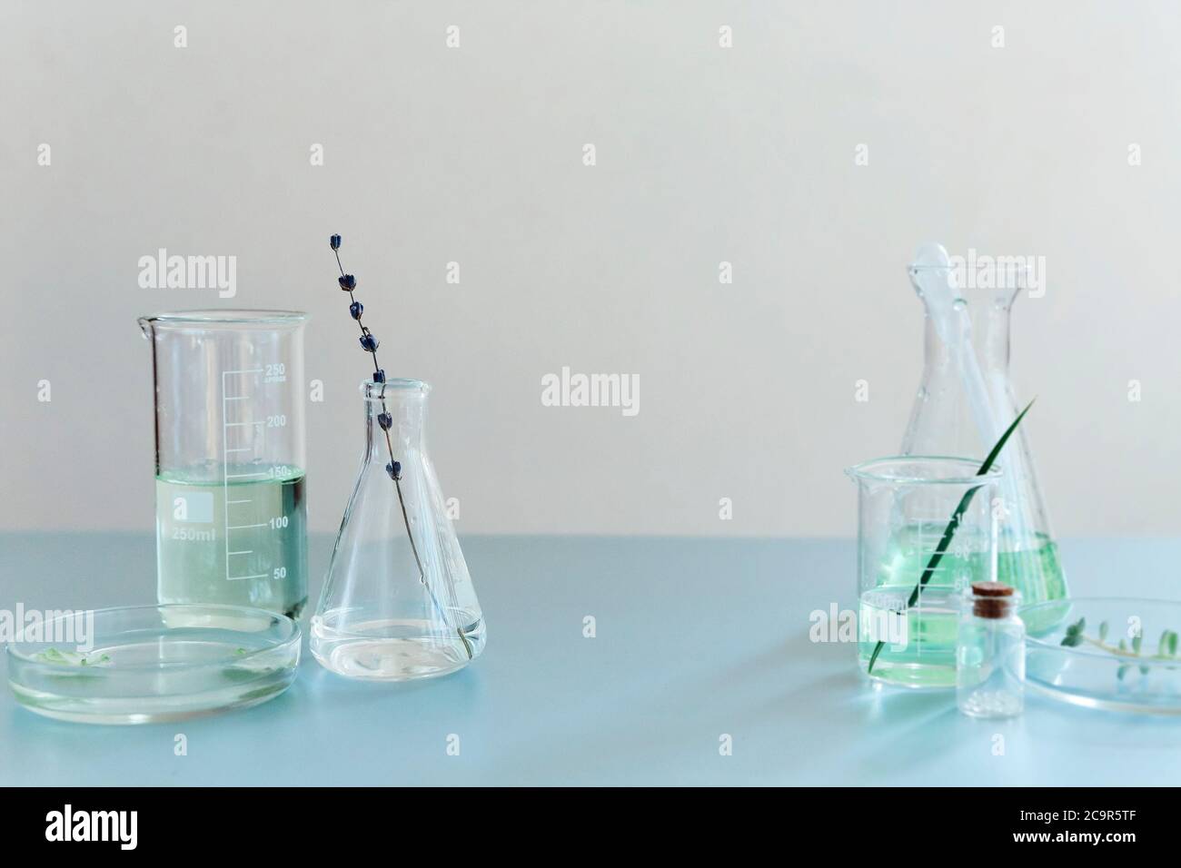 Flacons et flacons en verre assortis disposés avec des plantes vertes sur une table dans un laboratoire moderne Banque D'Images