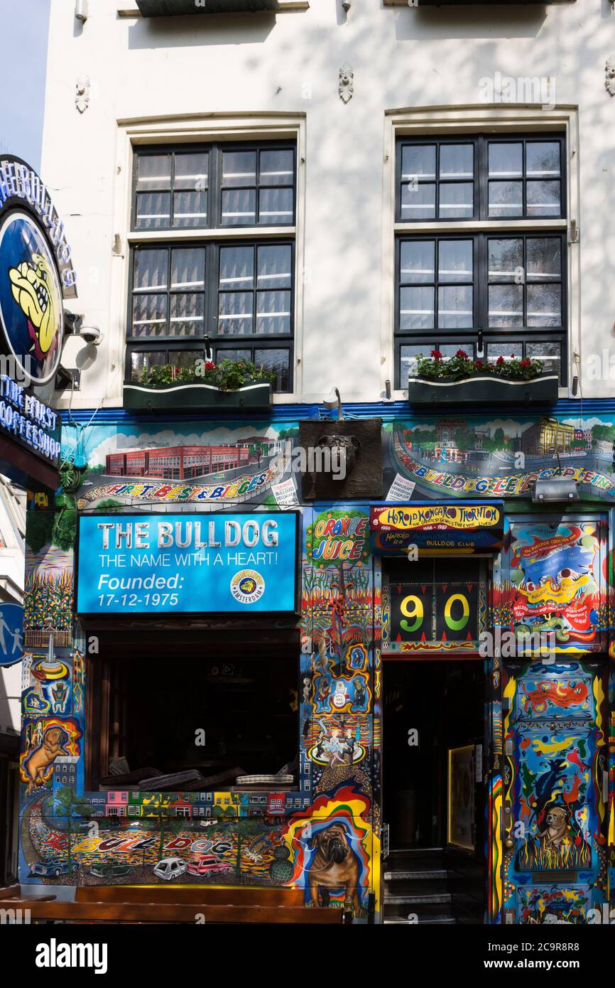 Le Bulldog Coffee Shop vend des produits pour fumeurs à Amsterdam, aux pays-Bas, fondée en 1975 Banque D'Images