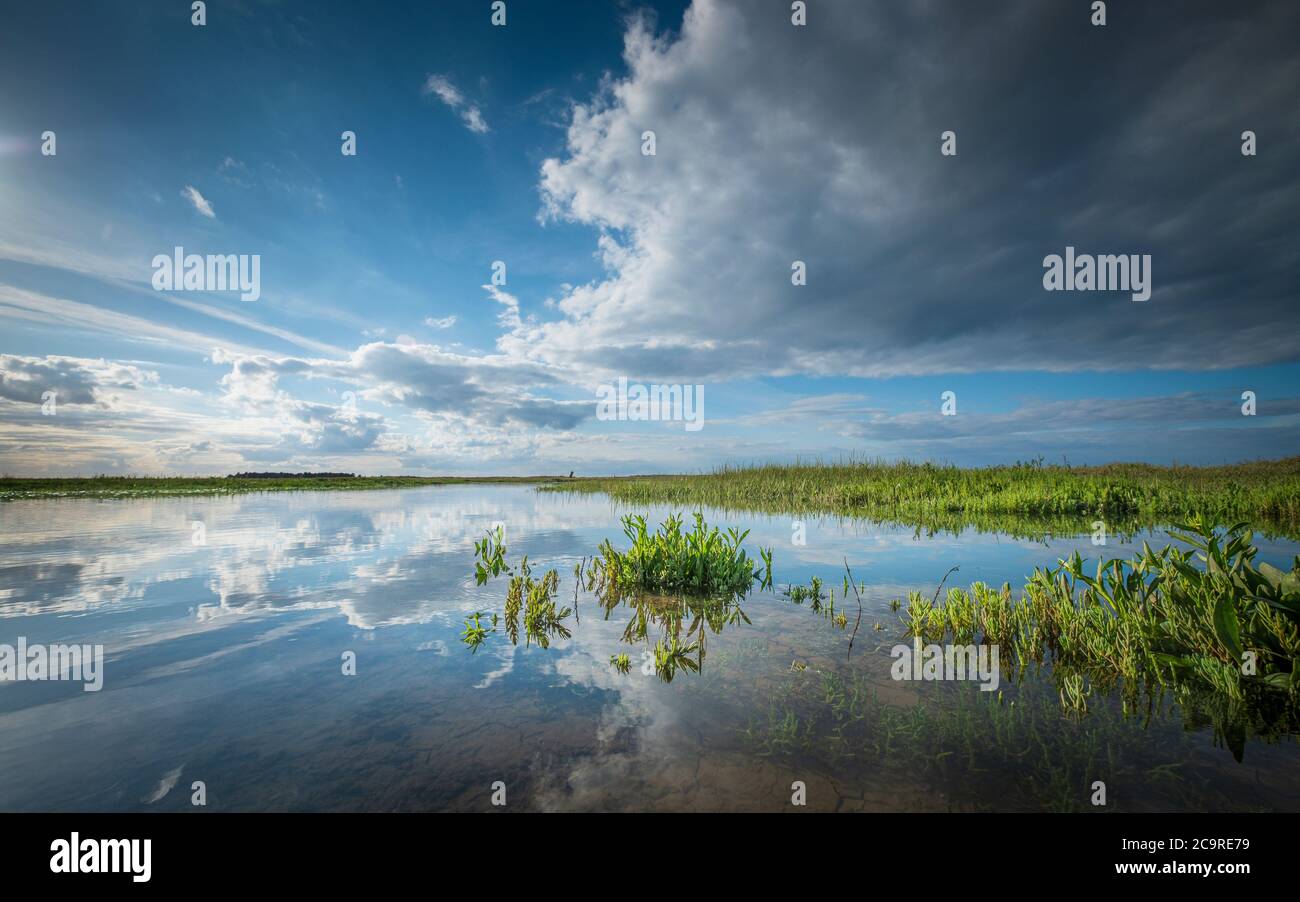 Le marais saltmarsh côtier de Norfolk est inondé à marée haute. Banque D'Images