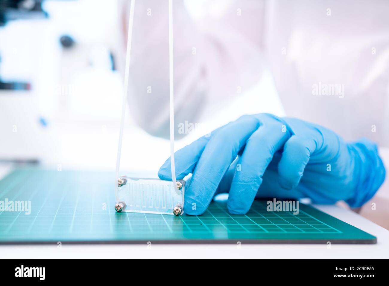 Organe-sur-puce (OOC) - dispositif microfluidique puce qui simule les organes biologiques c'est le type d'organes artificiels. Conception de prototypes de laboratoires sur puce Banque D'Images