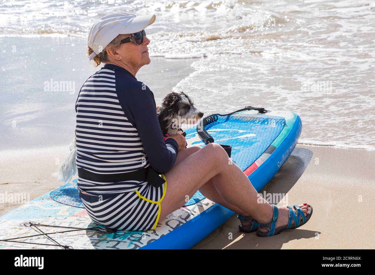 Poole, Dorset Royaume-Uni. 2 août 2020. Sessions d'entraînement pour chiens sur la plage avec des chiens apprenant à paddleboard et d'augmenter leur équilibre et confiance dans la mer lors d'une belle journée chaude et ensoleillée. Cavapoochon croise entre trois races – un cavalier King Charles, un coollier et une bichon Frise, également connu sous le nom de « chien qui ne grandit jamais » Credit: Carolyn Jenkins/Alay Live News Banque D'Images