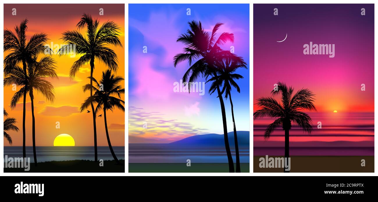 Les fonds de plage tropicale d'été avec palmiers, ciel lever du soleil et coucher du soleil. Affiche d'été affiche circulaire carte d'invitation. L'été. Illustration de Vecteur