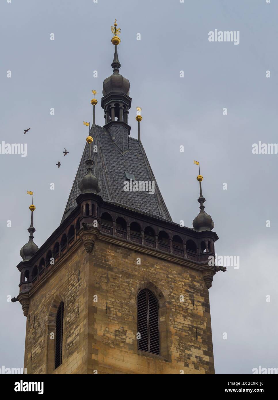 gros plan sur la tour gothique de la nouvelle mairie de la place charles de prague avec une flèche dorée et un pigeon volant Banque D'Images