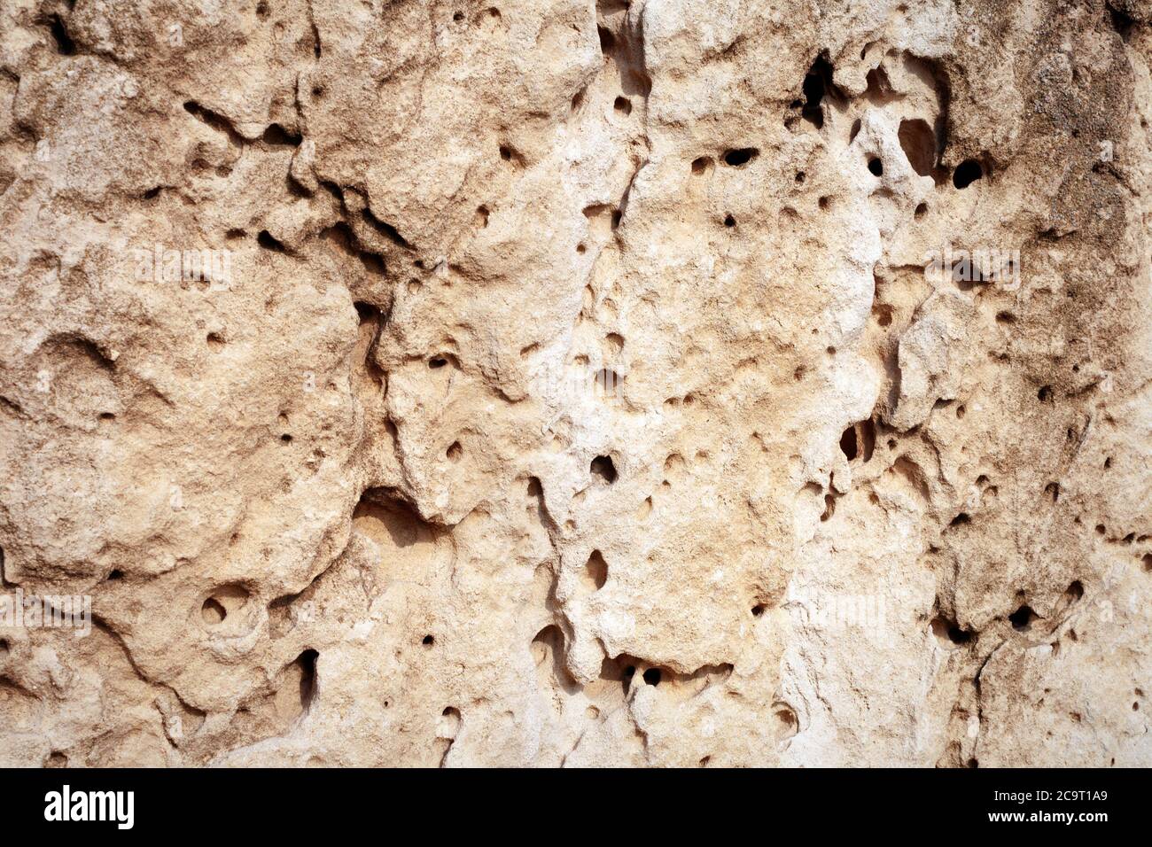 Sable Surface rock. Côte rocheuse de la mer Caspienne. Banque D'Images