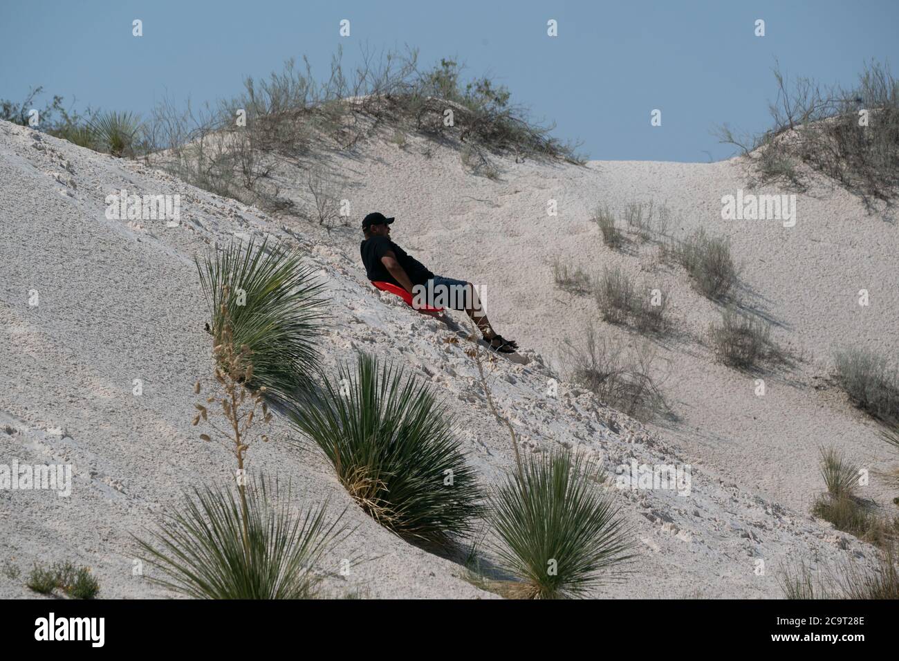 Monument national de White Sands, NOUVEAU-MEXIQUE, États-Unis. 1er août 2020. Un homme fait une promenade en traîneau dans le monument national de White Sands, Nouveau-Mexique. 1er août 2020. Le monument national de White Sands, établi en 1933, se trouve dans le nord du désert de Chihuahuan, dans l'État américain du Nouveau-Mexique. Il est connu pour son paysage spectaculaire de dunes de sable blanc de gypse rares. Crédit : Bryan Smith/ZUMA Wire/Alay Live News Banque D'Images