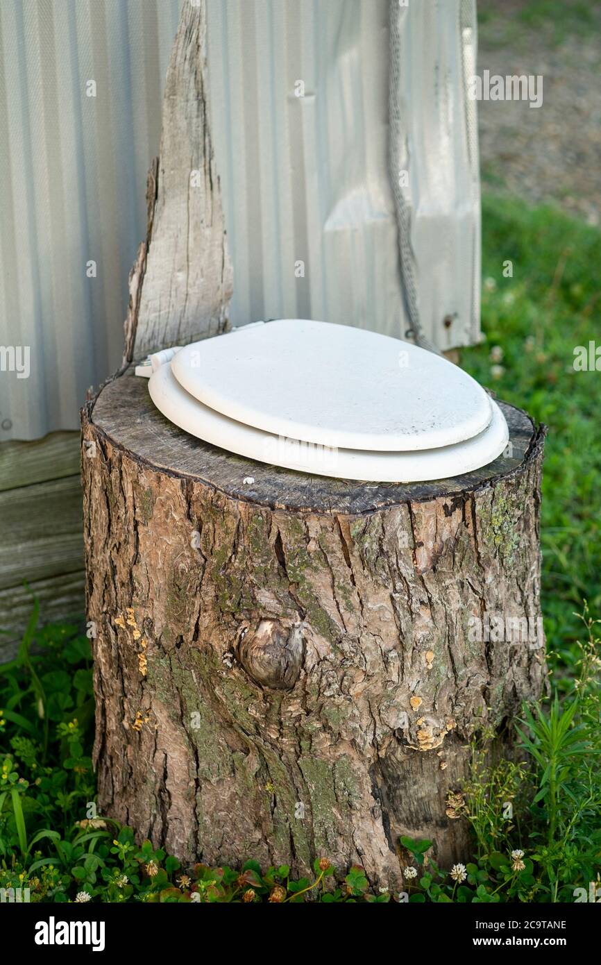 Siège de toilette assis au-dessus d'une souche d'arbre vieillissant sur une ferme dans le nord de l'Illinois, États-Unis. Banque D'Images