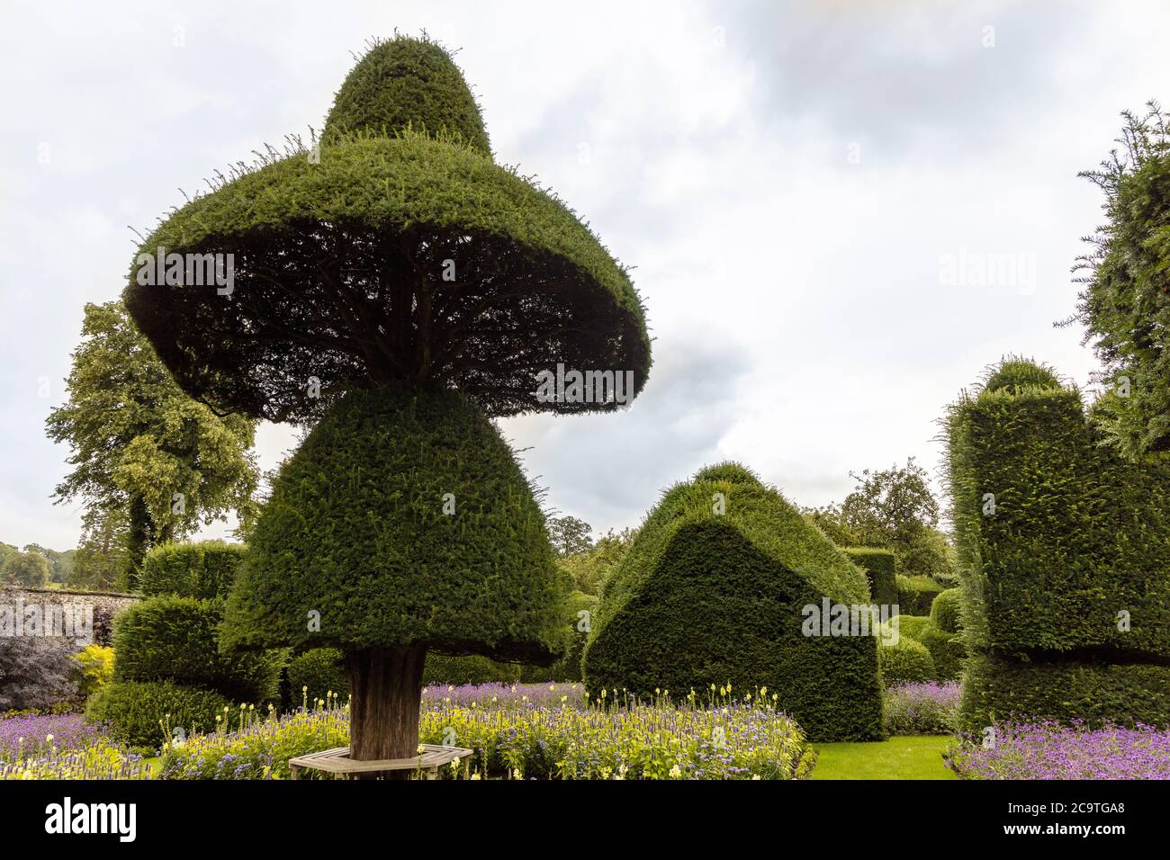 Plus ancien parc des Topiaires dans le monde avec des plantes à l'formes fantastiques Levens Hall en Cumbria, UK. Banque D'Images