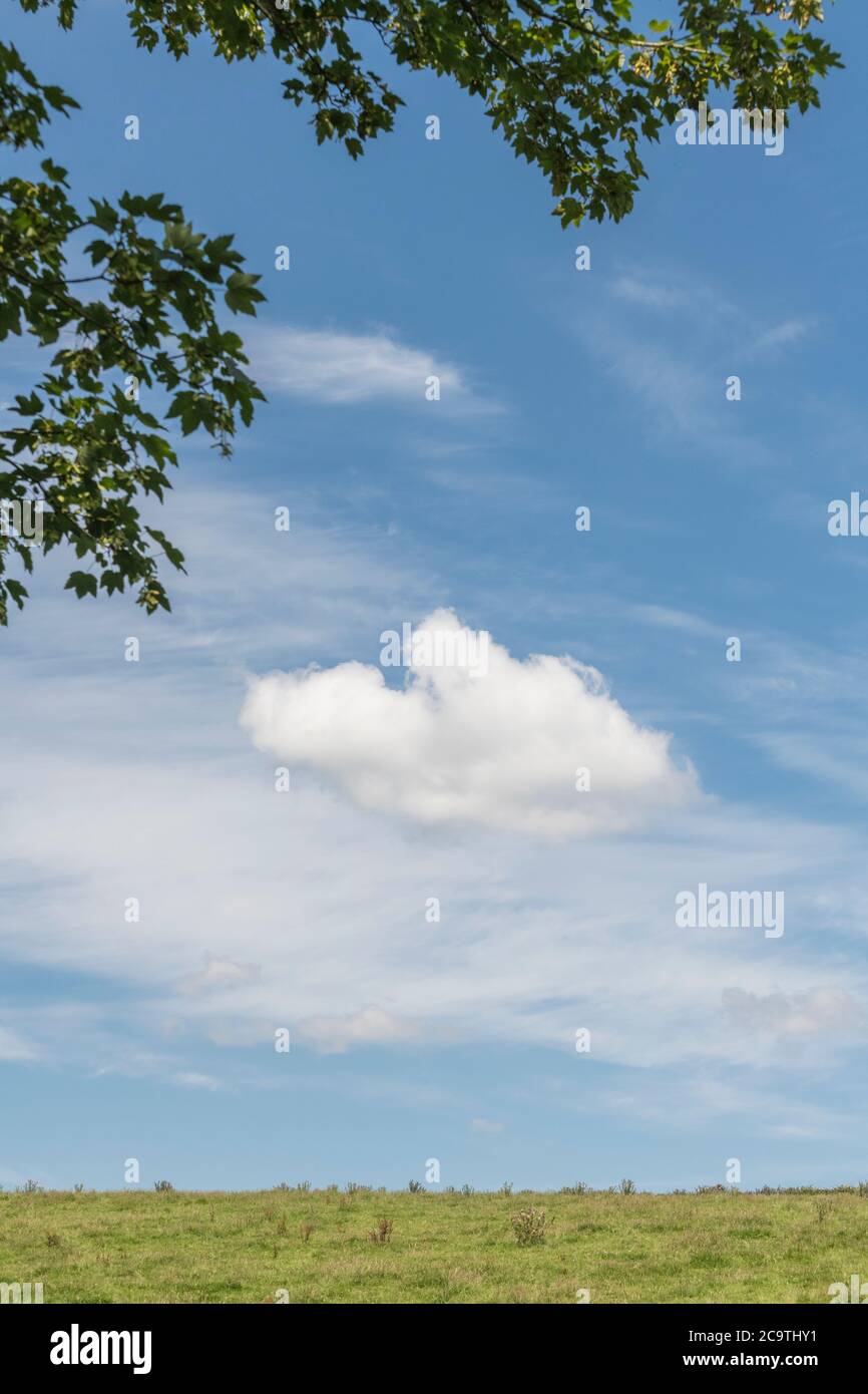 Terrain de pâturage avec ciel bleu d'été et nuages moelleux. Agriculture et agriculture au Royaume-Uni, ciel bleu d'été, beau temps, doublure argent nuageux. Banque D'Images