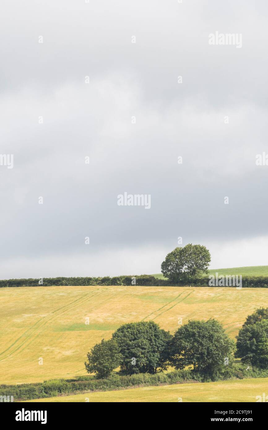 Une formation de nuages sombres, un peu menaçante, s'est installée sur un champ / une terre agricole à flanc de colline au Royaume-Uni. Pour la ferme britannique, la cueillette de nuages de tempête Banque D'Images