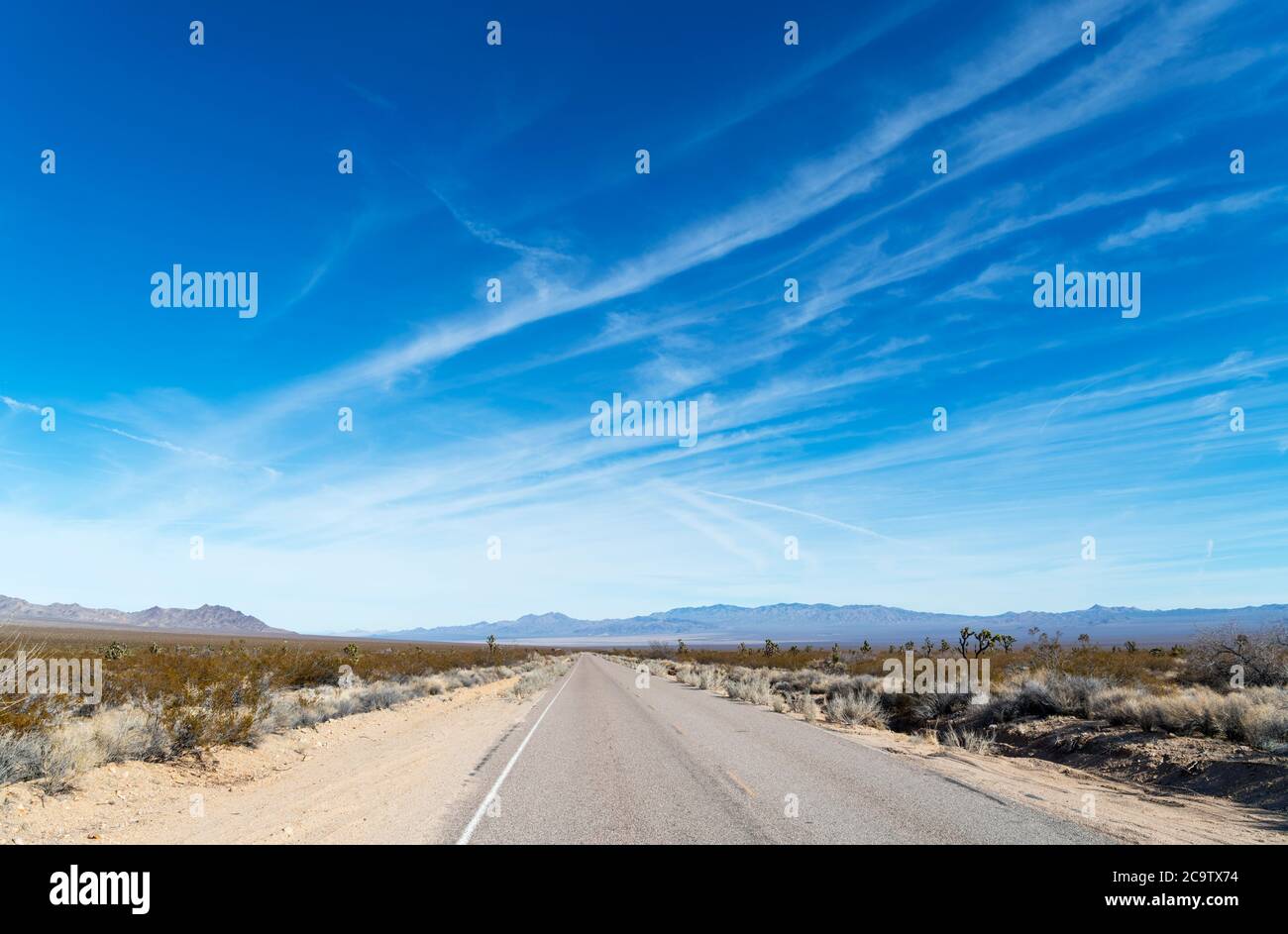 Morning Star Mine Road dans la réserve nationale de Mojave, désert de Mojave, Californie, États-Unis Banque D'Images