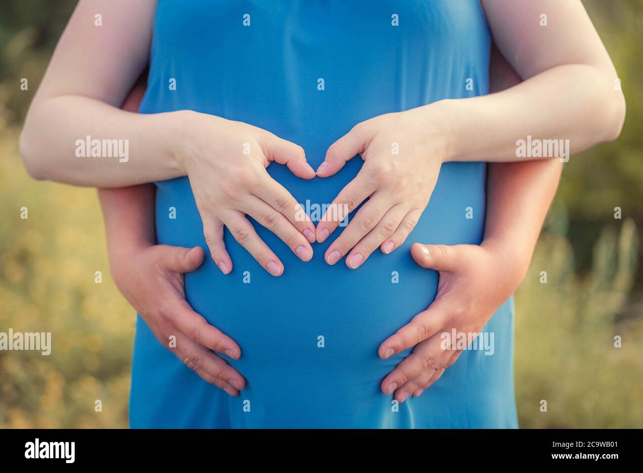 Femme enceinte et son mari debout dans le parc et tenant leurs mains sur la bosse de son bébé. Mains en forme de coeur. Gros plan. Famille, grossesse, lov Banque D'Images