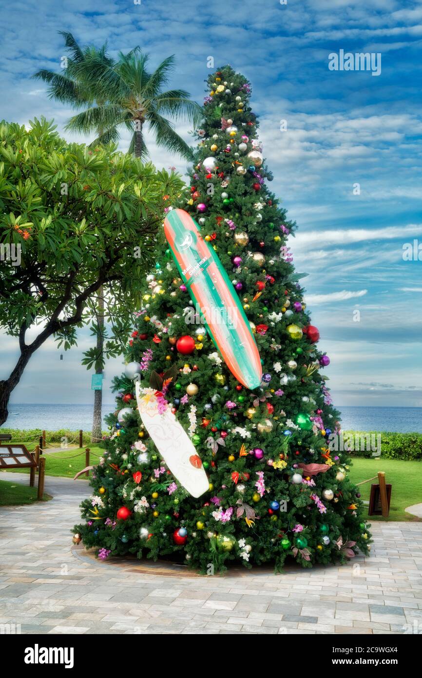 Sapin de Noël en planche de surf. Plage de Kaanapali, Maui, Hawaï Banque D'Images