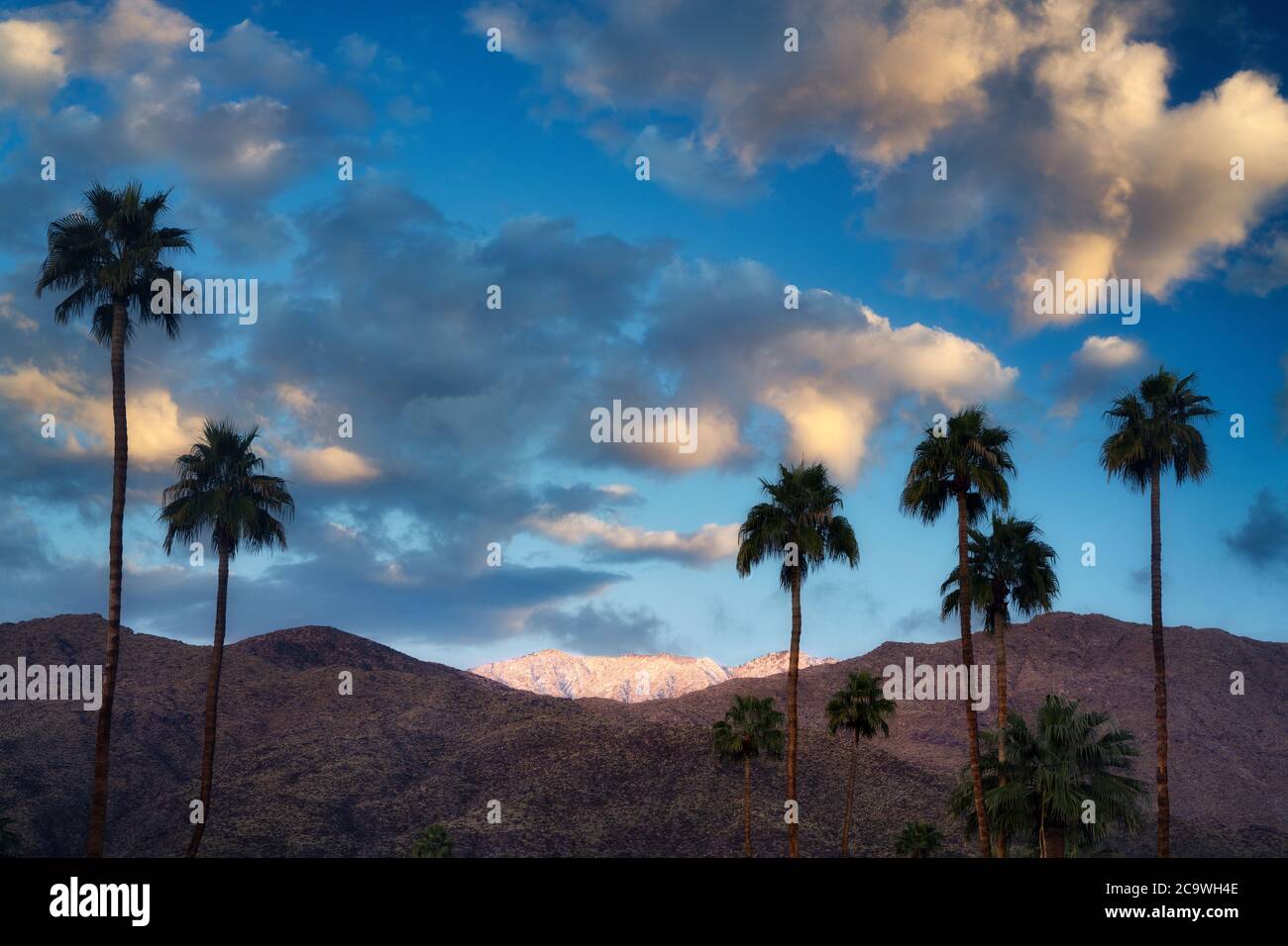 Neige, lever du soleil et palmiers sur les montagnes de San Jacinto. Palm Springs, Californie Banque D'Images