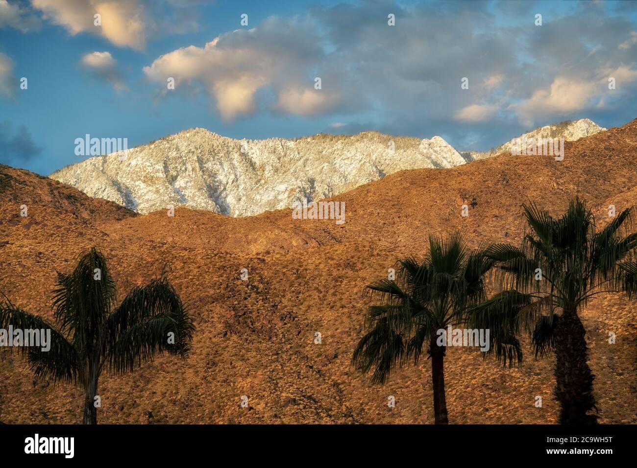 Neige, lever du soleil et palmiers sur les montagnes de San Jacinto. Palm Springs, Californie Banque D'Images