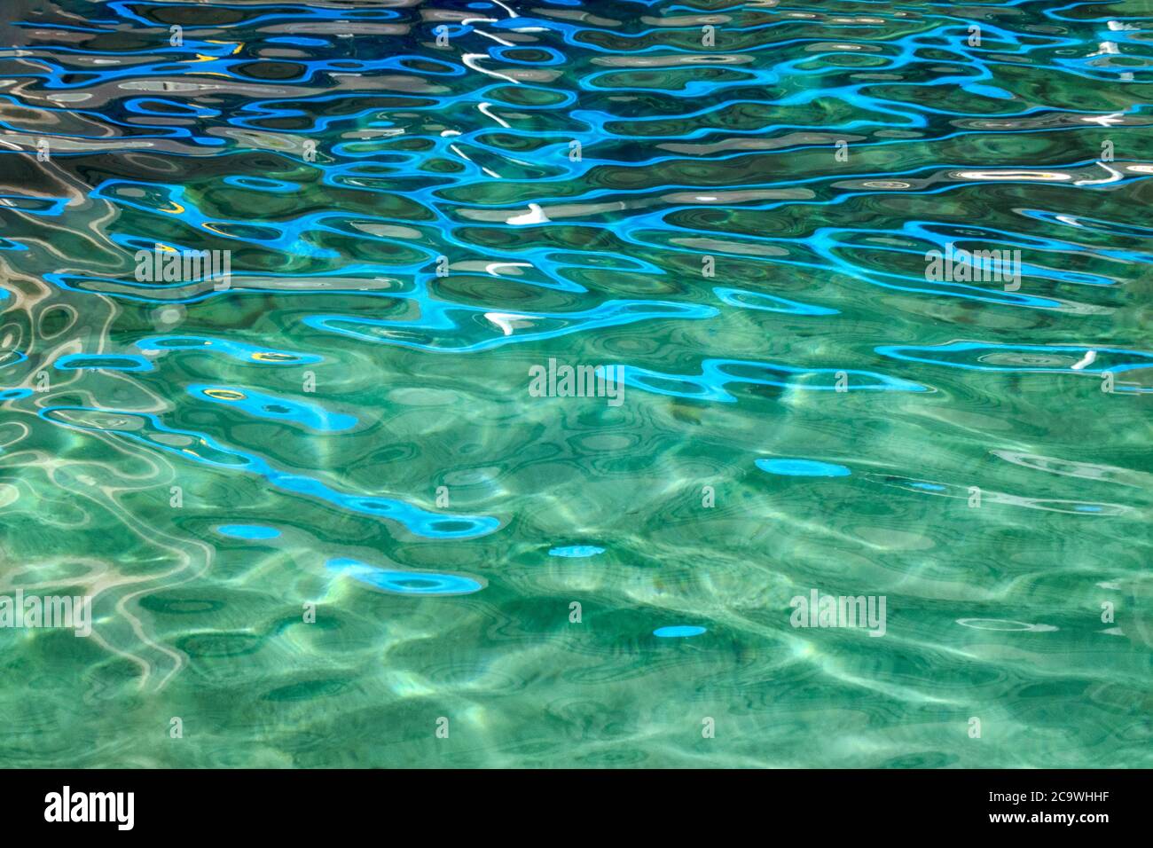 Reflet bleu dans l'étang. Hawaï Banque D'Images