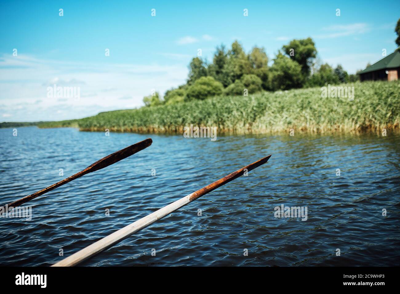 les athlètes en vacances sont engagés dans l'aviron, les nageurs sur des oars en bois frappent l'eau, éclaboussant beaucoup de gouttes autour Banque D'Images