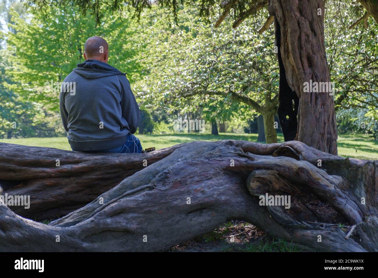 Vue arrière de l'homme assis sur le bois d'arbre avec la terre du parc et les arbres en face de lui. Printemps à Eastcote House Gardens, Eastcote Hillingdon, West London. Banque D'Images