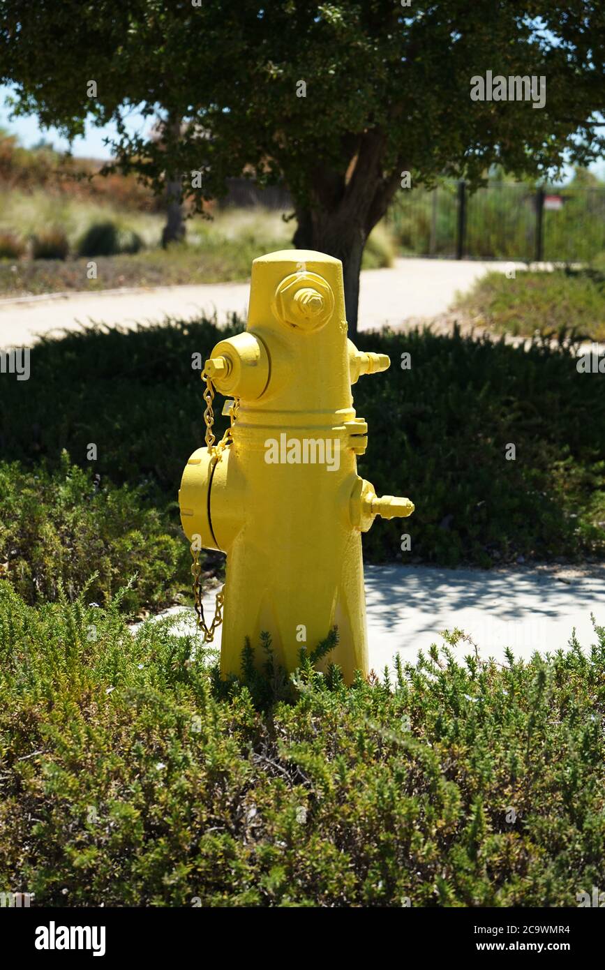 Borne d'incendie jaune dans un parc public Banque D'Images