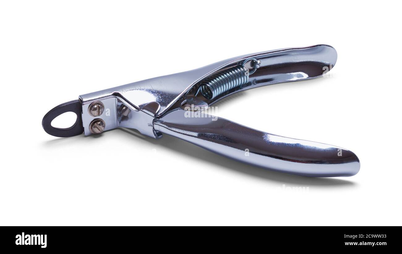 Pinces à ongles pour chiens métalliques isolées sur blanc. Banque D'Images