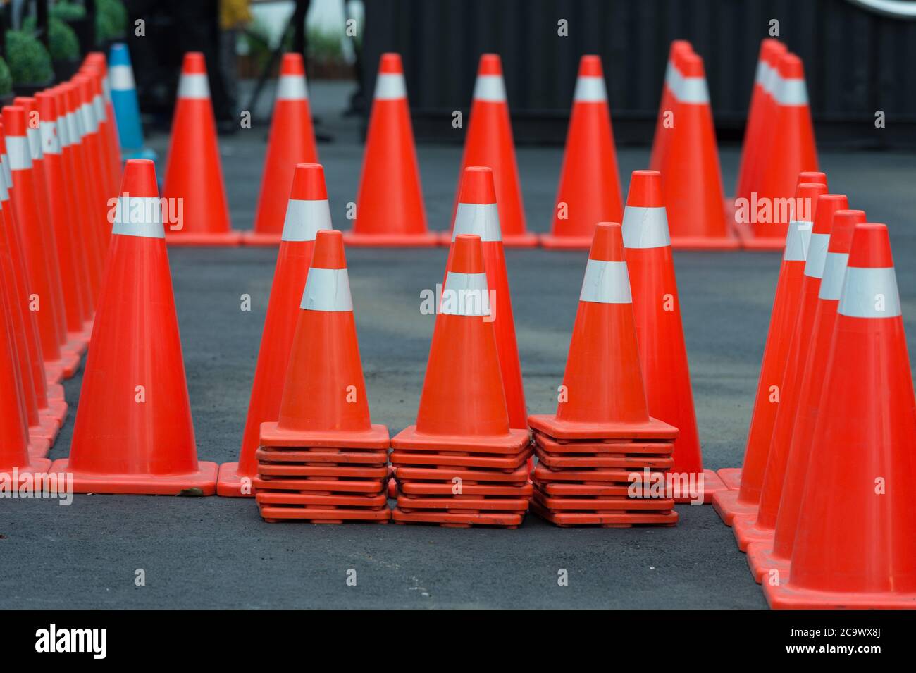 Cônes de signalisation orange vif debout dans une rangée sur l'asphalte sombre Banque D'Images