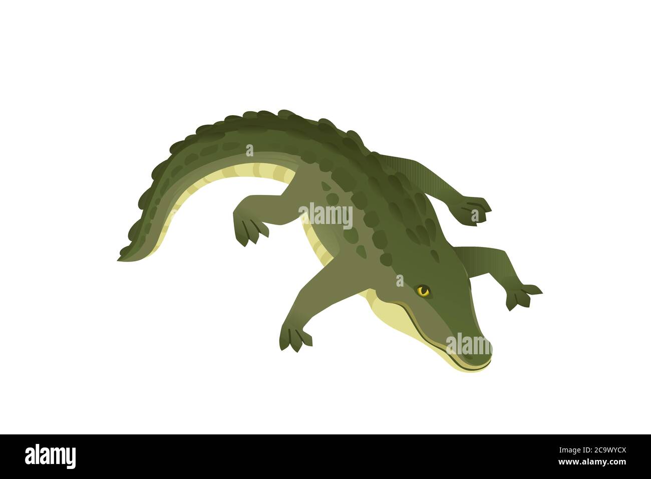 Crocodile vecteur dessin animé crocodilien personnage de vert