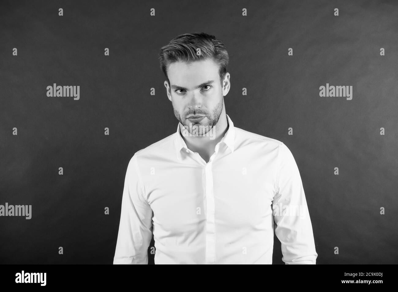 Consultant financier. Employé de col blanc. Vêtements pour hommes style formel. Un employé de bureau très bien. Gestion de la chaîne intermédiaire et cléricale. Homme bien entretenu chemise formelle. Mode formel. Profession professionnelle. Banque D'Images