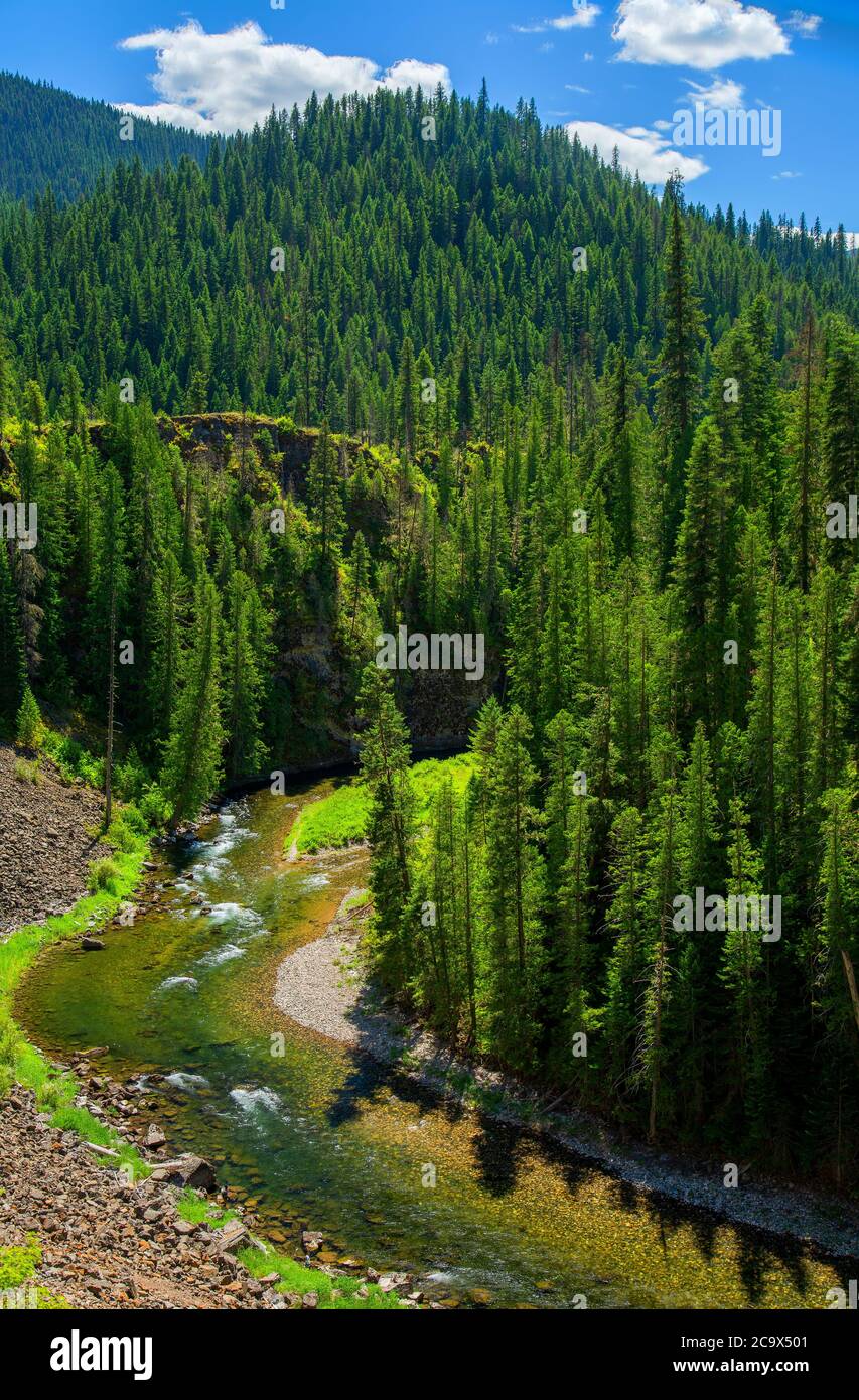 St. Joe Wild and Scenic River, St. Joe National Forest, St. Joe River Scenic Byway, Idaho Banque D'Images