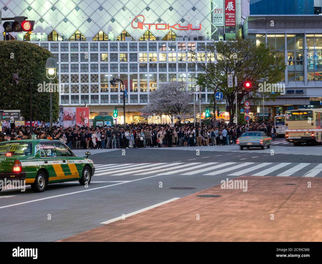 Croisement de Shibuya à Tokyo, Japon Banque D'Images