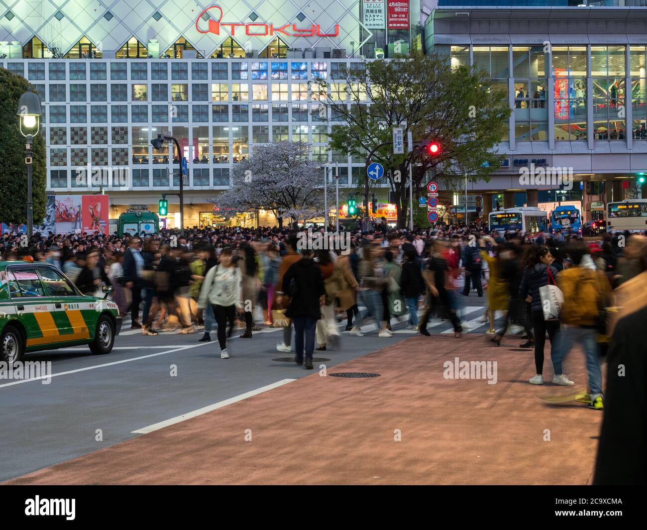 Croisement de Shibuya à Tokyo, Japon Banque D'Images