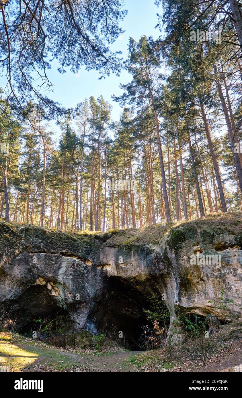 Arbres à l'entrée de la grotte du paysage de roche de grès à Blankenburg. Parc national de Harz. Saxe-Anhalt, Allemagne. Banque D'Images