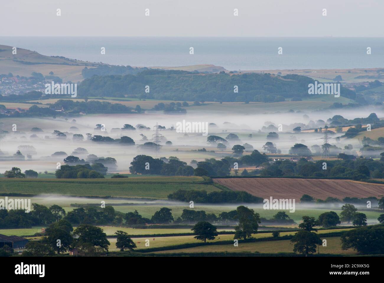 Pilsdon Pen, Dorset, Royaume-Uni. 3 août 2020. Météo Royaume-Uni. Taches de brume dans la vallée de Marshwood vue de Pilsdon Pen près de Broadwindsor dans Dorset au lever du soleil. Crédit photo : Graham Hunt/Alamy Live News Banque D'Images