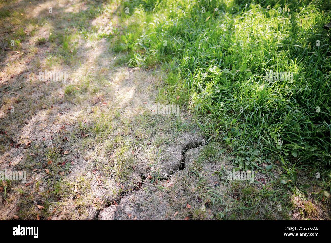 Crack dans la terre en raison de la sécheresse prolongée dans la cour d'un fermier roumain. Banque D'Images