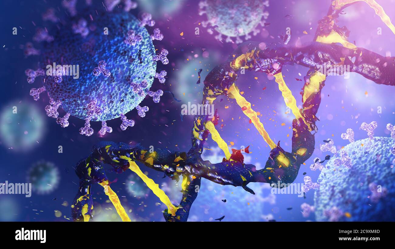 Le coronavirus COVID-19 s'intègre dans le mécanisme cellulaire de la transcription de l'ADN. La destruction de l'adn. Illustration 3D Banque D'Images