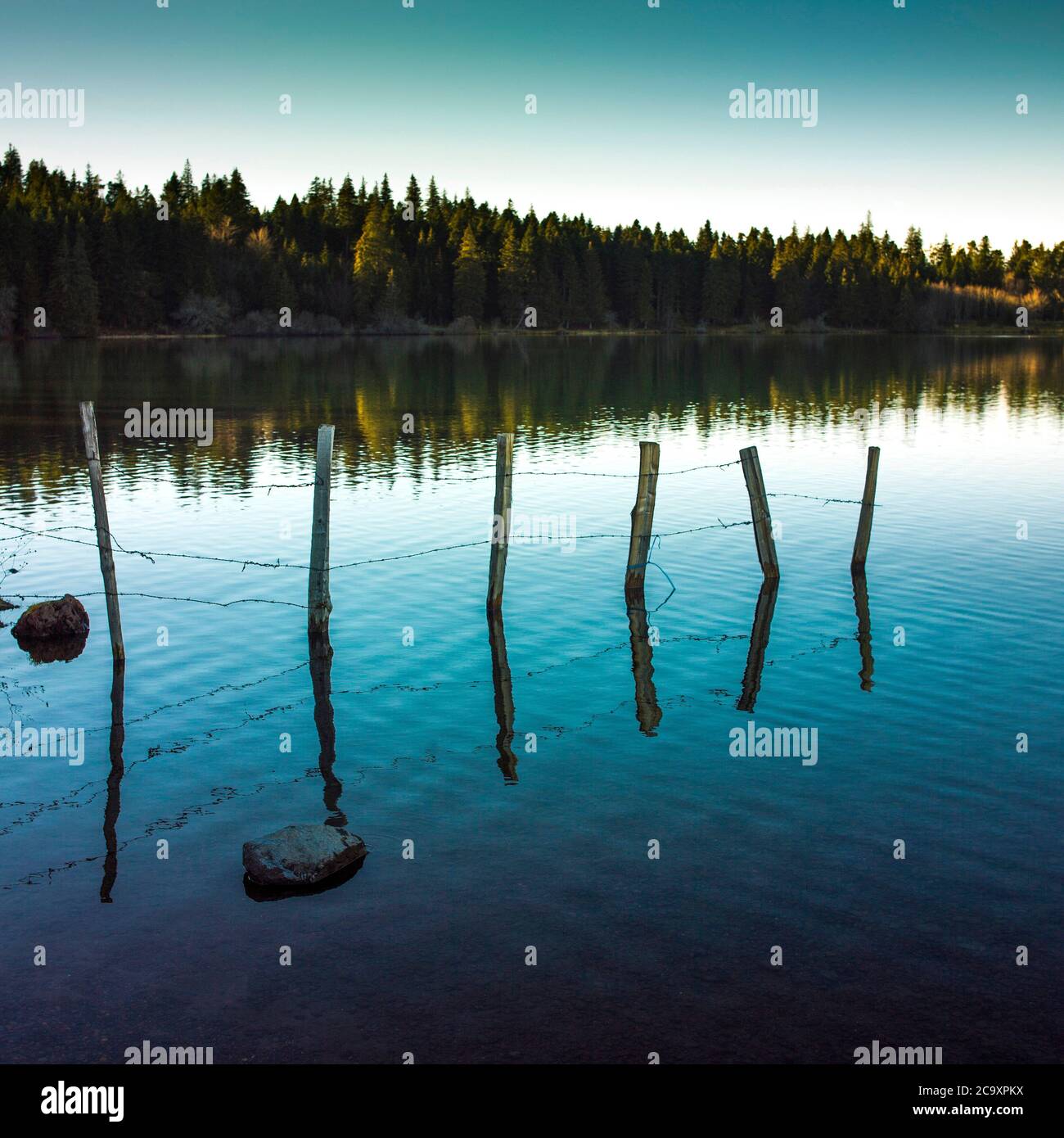 Vue sur les poteaux en bois sur le lac de Servières, le Puy de Dôme, le Parc naturel régional des volcans d'Auvergne, Auvergne Rhône Alpes, France Banque D'Images