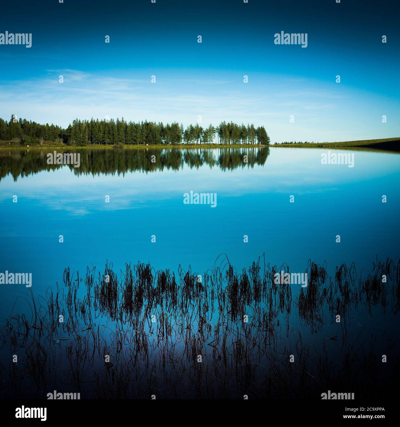 Une vue panoramique sur les arbres et le ciel clair se reflétant sur le lac de Servières, le Puy de Dome, Parc naturel régional des volcans d'Auvergne, France Banque D'Images