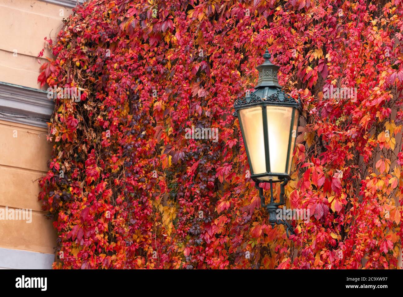 Lanterne vintage sur un mur Banque D'Images