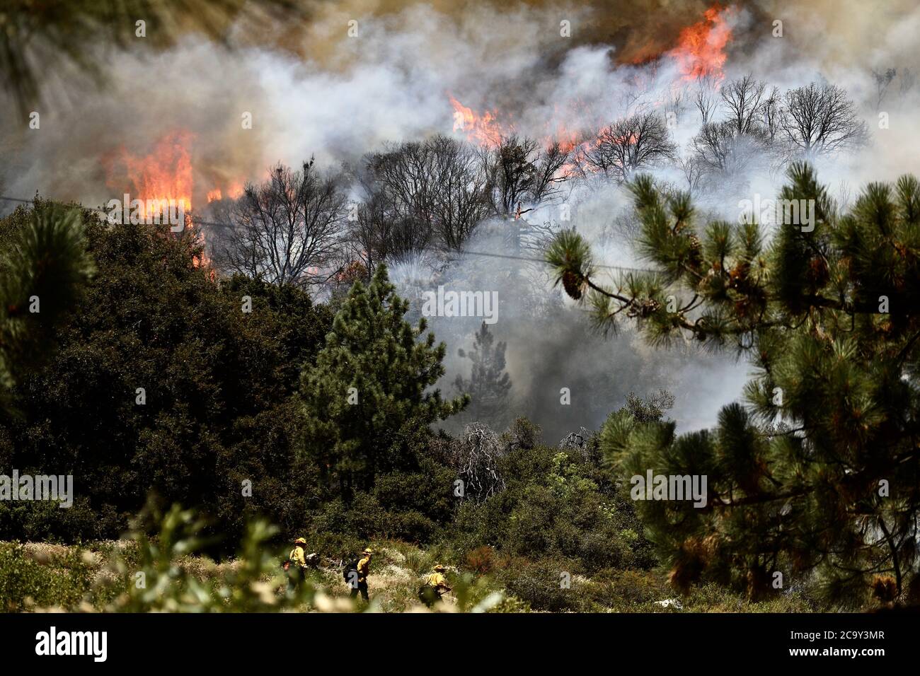 Los Angeles, États-Unis. 2 août 2020. Les pompiers combattent un feu de forêt dans le comté de Riverside, en Californie du Sud, aux États-Unis, le 2 août 2020. Le feu, surnommé « Pomme Fire », a forcé environ 8,000 habitants à être évacués, ont déclaré les autorités. L'incendie a commencé vendredi soir et a brûlée 20,516 acres (83.1 km carrés), selon les dernières informations mises à jour par le Département de la foresterie et de la protection contre les incendies de Californie (Cal Fire). Credit: Xinhua/Alay Live News Banque D'Images