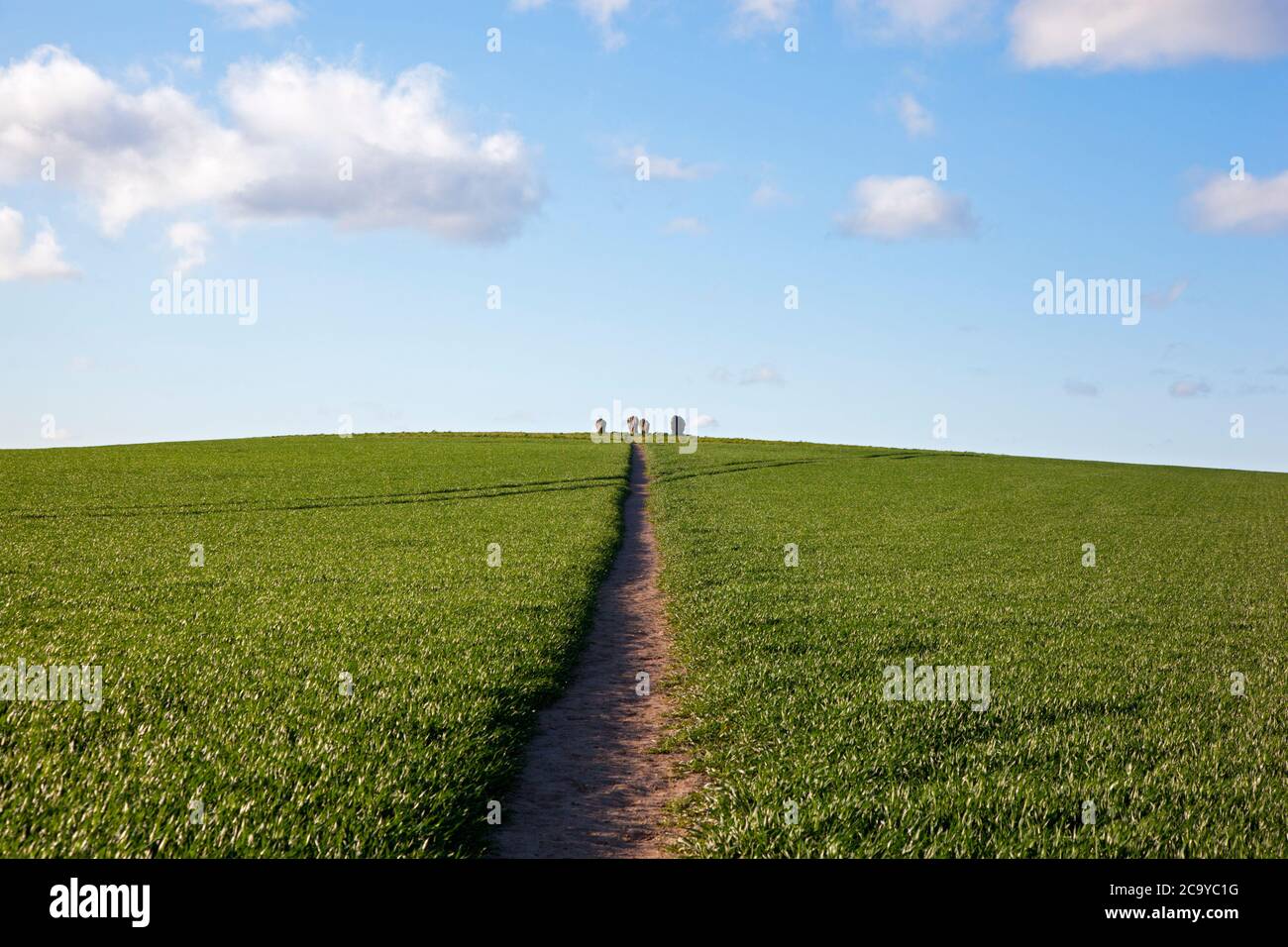 Chemin vers l'ancien cercle de pierre à Duddo dans Northumberland, Royaume-Uni Banque D'Images