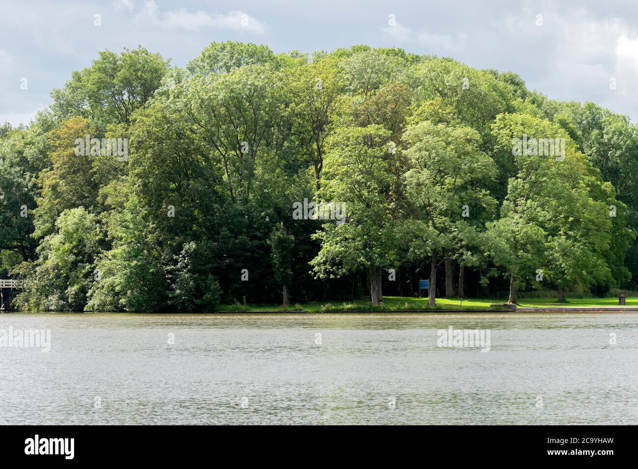 Arbres à l'Amsterdam Bos, pays-Bas 29-7-2020 Banque D'Images