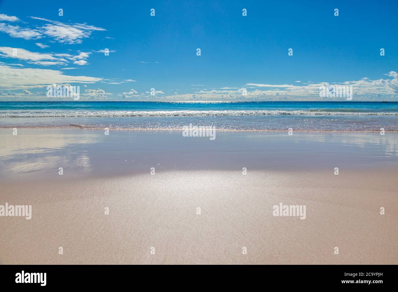La magnifique plage de sable de Horseshoe Bay, sur l'île des Bermudes Banque D'Images