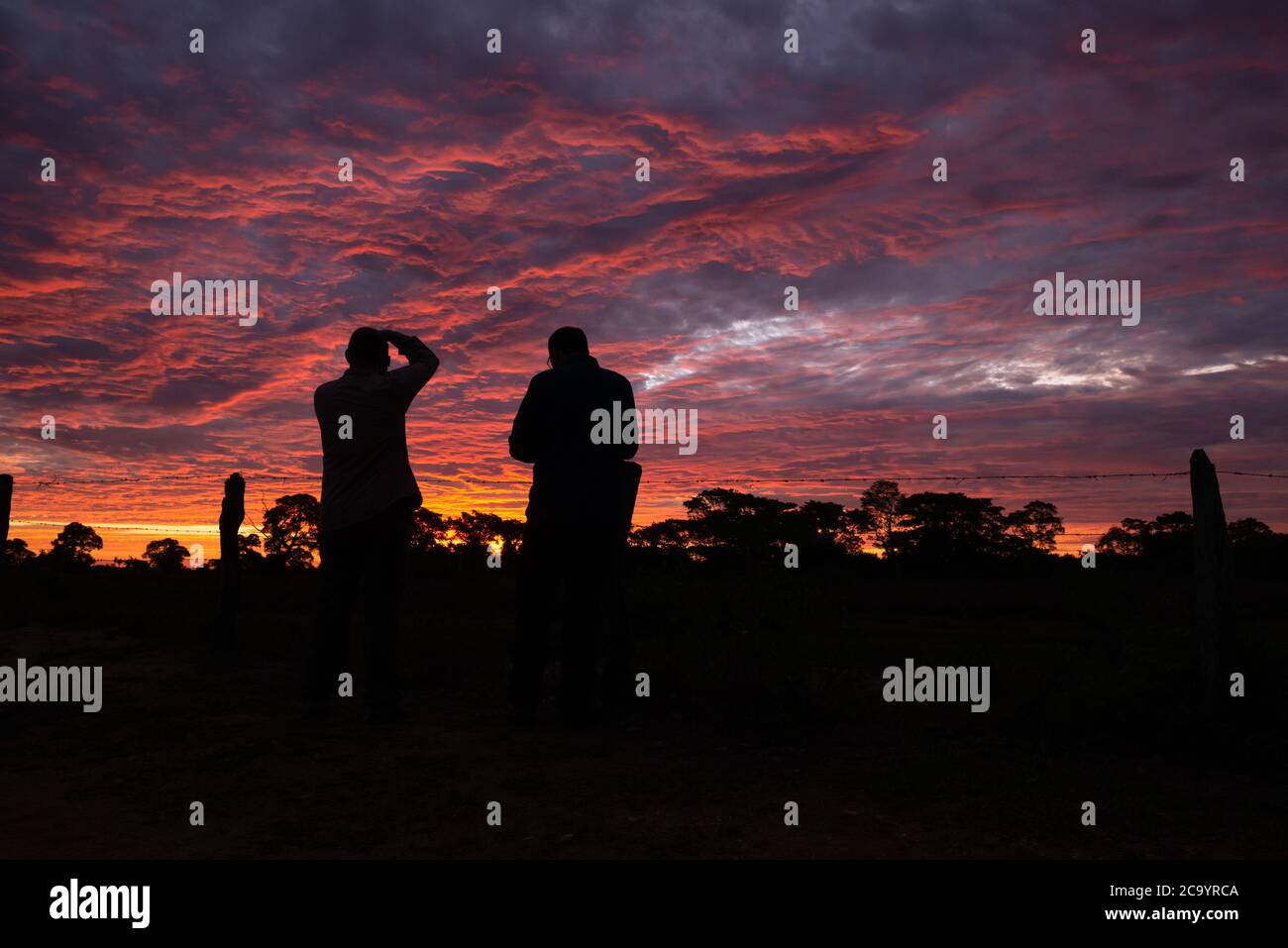 Photographes capturant le coucher du soleil à North Pantanal, Brésil Banque D'Images