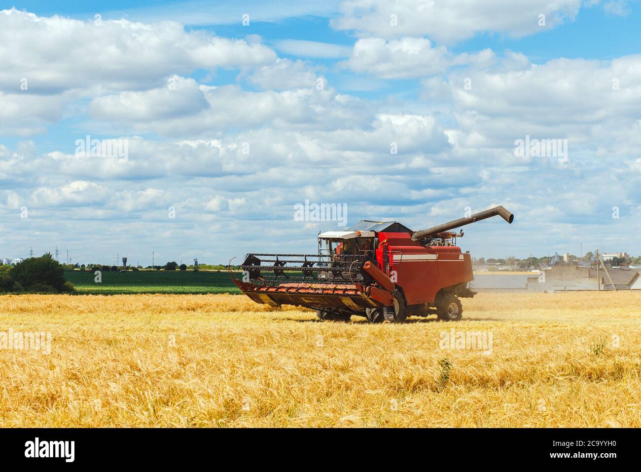La moissonneuse-batteuse récolte du blé mûr dans le champ de céréales. L'opérateur de la moissonneuse-batteuse attend que le tombereau décharge le grain. Travail agricole en été. Banque D'Images